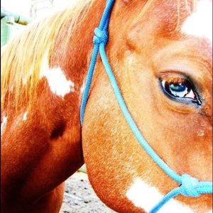 Meet your Posher, Jean